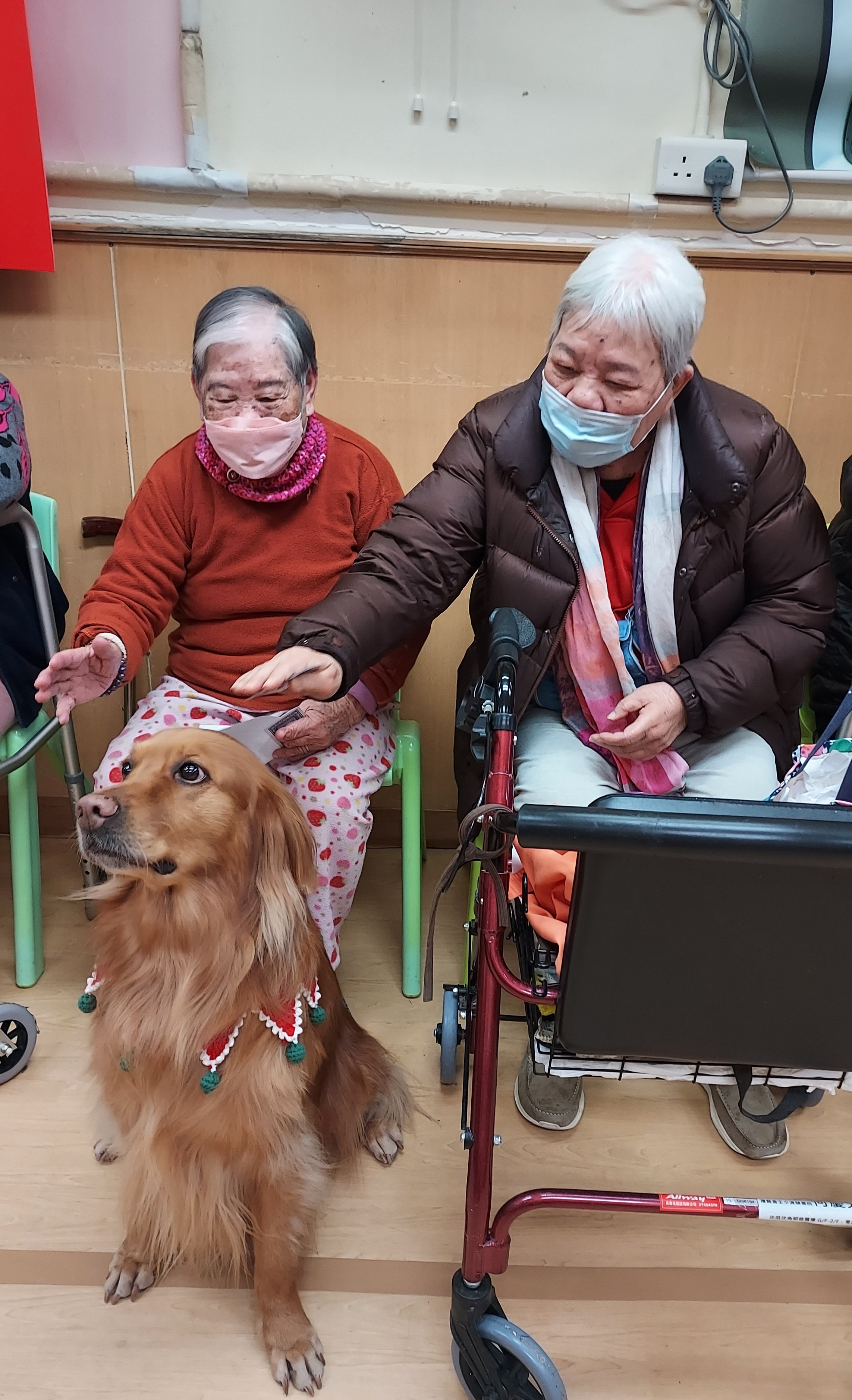 愛寵迎新春活動